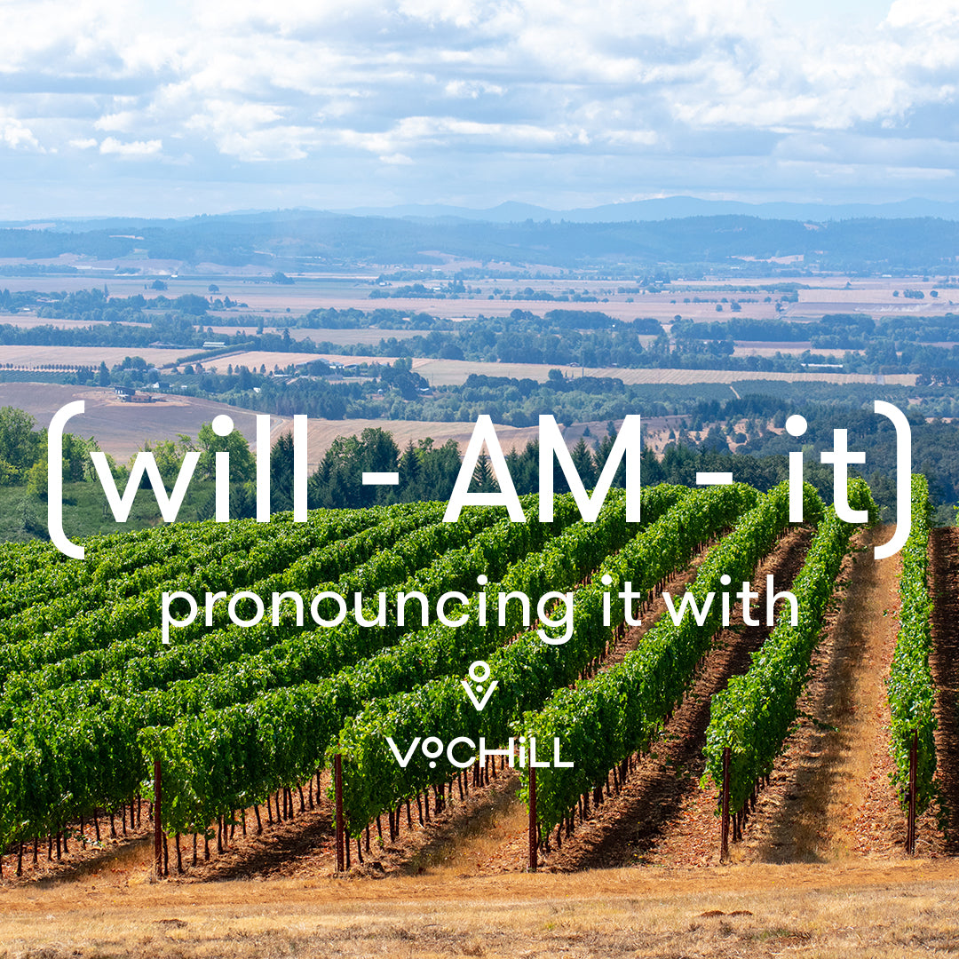 Savor with Confidence: Mastering Wine Region Pronunciations with VoChill